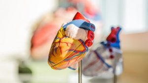 Color Genomics Heart Health 101