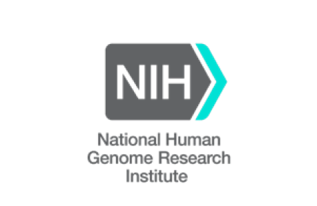 NNG GRI Logo