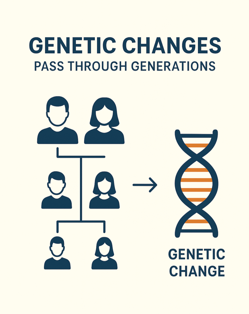 Illustration showing how genetic changes pass through generations, with a family tree leading to a DNA helix labeled “Genetic Change.”